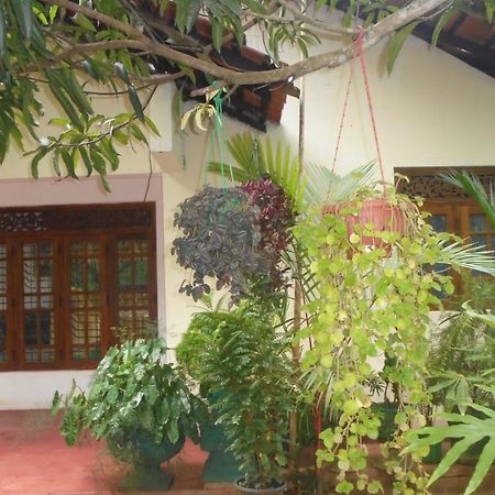 Ath Hala Safari Resort Udawalawe Dış mekan fotoğraf